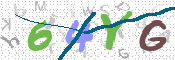 この文字を入力してください