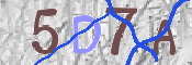 この文字を入力してください