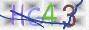 この文字を入力してください