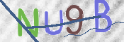 この文字を入力してください