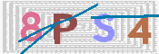 この文字を入力してください