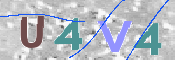 この文字を入力してください