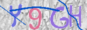 この文字を入力してください