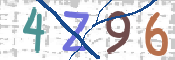 この文字を入力してください