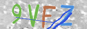 この文字を入力してください