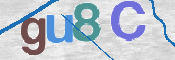 この文字を入力してください