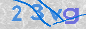 この文字を入力してください
