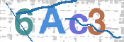 この文字を入力してください