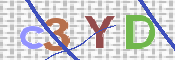 この文字を入力してください