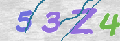 この文字を入力してください