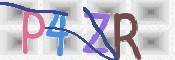 この文字を入力してください