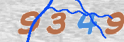 この文字を入力してください