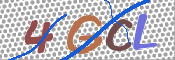 この文字を入力してください