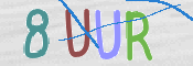 この文字を入力してください