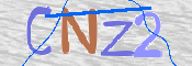 この文字を入力してください