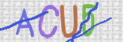 この文字を入力してください