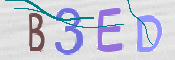 この文字を入力してください