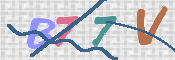 この文字を入力してください