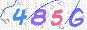 この文字を入力してください