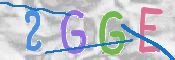 この文字を入力してください