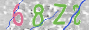 この文字を入力してください