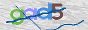この文字を入力してください
