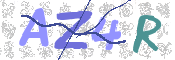 この文字を入力してください