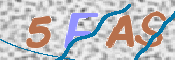 この文字を入力してください