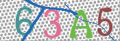 この文字を入力してください