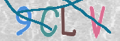 この文字を入力してください
