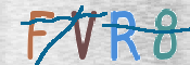 この文字を入力してください