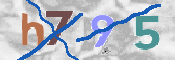 この文字を入力してください