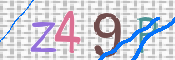 この文字を入力してください