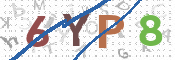 この文字を入力してください