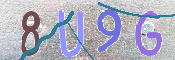 この文字を入力してください