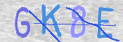 この文字を入力してください