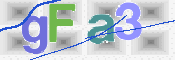 この文字を入力してください