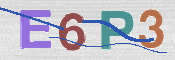 この文字を入力してください