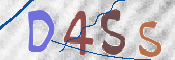 この文字を入力してください