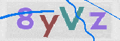 この文字を入力してください