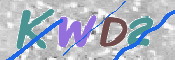 この文字を入力してください