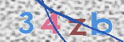 この文字を入力してください