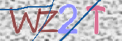 この文字を入力してください