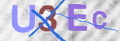 この文字を入力してください