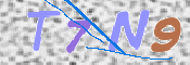 この文字を入力してください
