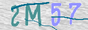 この文字を入力してください