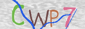 この文字を入力してください