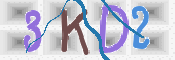 この文字を入力してください