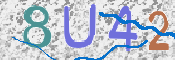 この文字を入力してください
