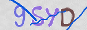 この文字を入力してください